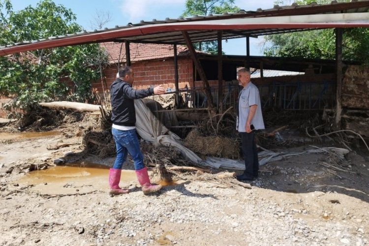 Sele kapılan hayvanları i&ccedil;in g&ouml;zyaşı d&ouml;kt&uuml;