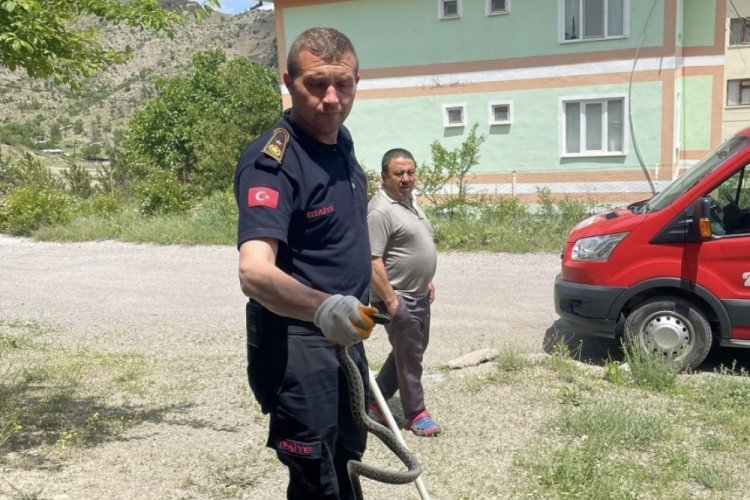 &Ccedil;ankırı'da apartmana giren yılanı itfaiye ekipleri yakaladı