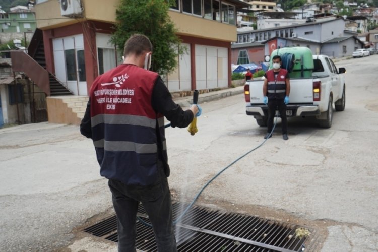 Hatay'da deprem sonrası haşere &uuml;reme alanı artıyor