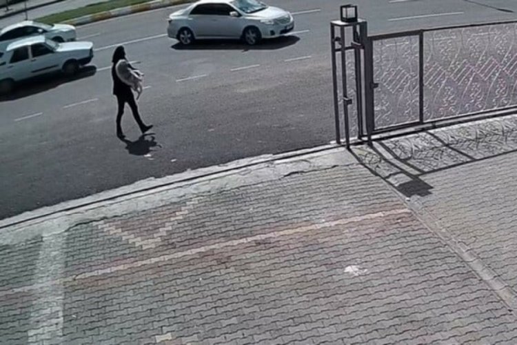 Şanlıurfa polisinden y&uuml;rek ısıtan hareket: Sokak k&ouml;peğini ezilmekten kurtardı