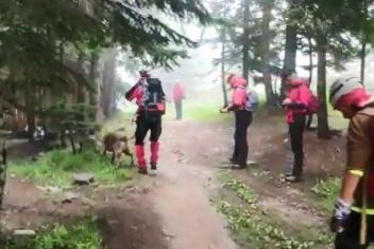 Uludağ'da ot toplarken kaybolan adam 2 g&uuml;nd&uuml;r aranıyor
