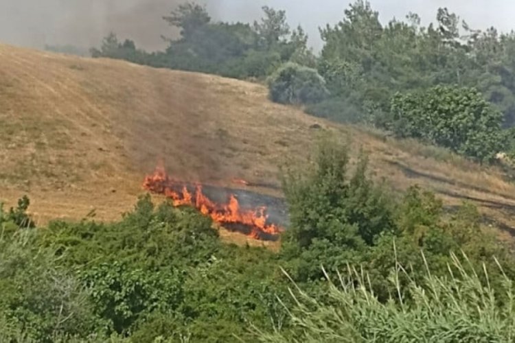 Adana'da anız yangını &ccedil;evredeki ağa&ccedil;lık alana sı&ccedil;radı