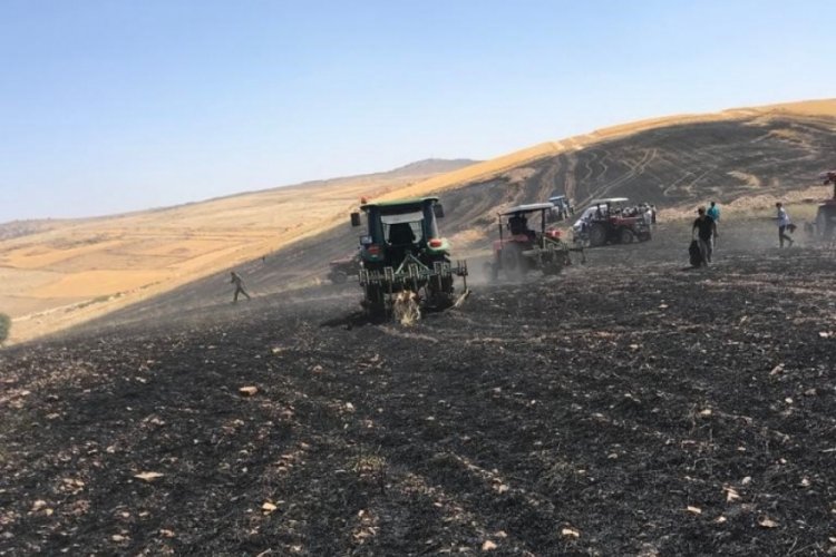 Diyarbakır'da bi&ccedil;erd&ouml;verden &ccedil;ıkan yangın buğday tarlasını k&uuml;le &ccedil;evirdi