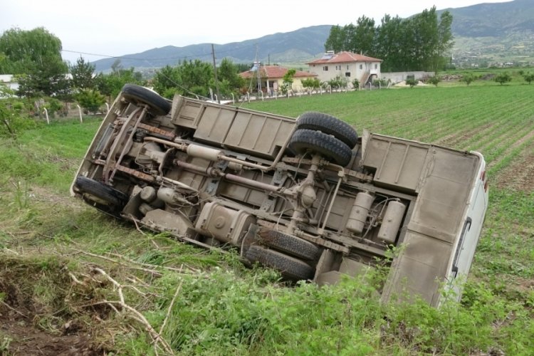 Tokat'ta midib&uuml;s tarlaya u&ccedil;tu