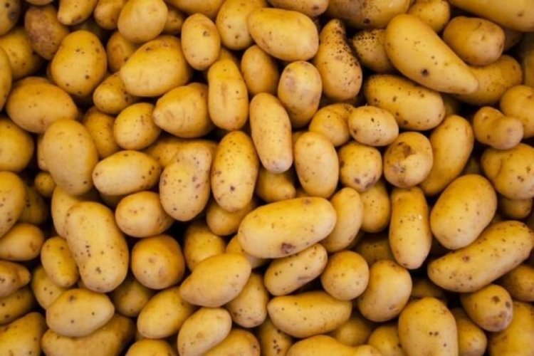 Mayıs ayında en &ccedil;ok patates pahalandı