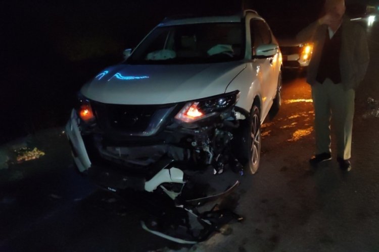 Bursa'da domuz s&uuml;r&uuml;s&uuml; ana yola fırladı, 4 ara&ccedil; hasar g&ouml;rd&uuml;