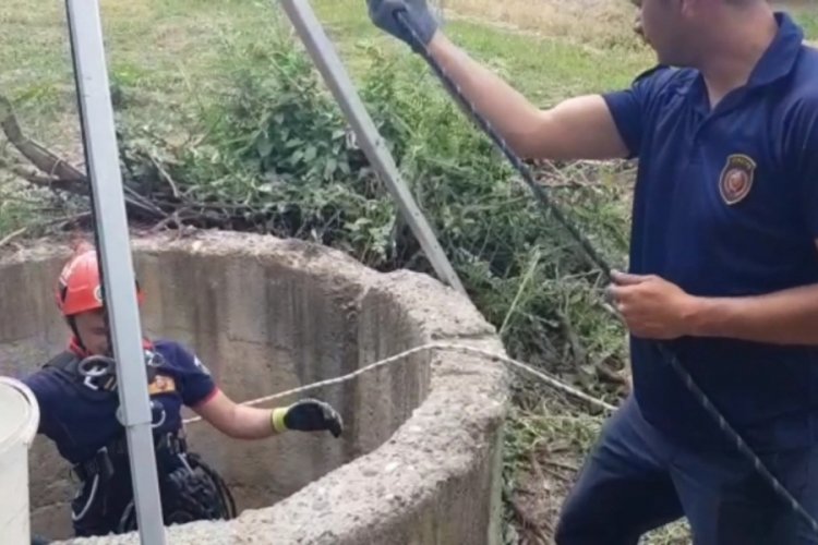 Malatya'da kedi kuyuya d&uuml;şt&uuml;! Yardımına itfaiye yetişti
