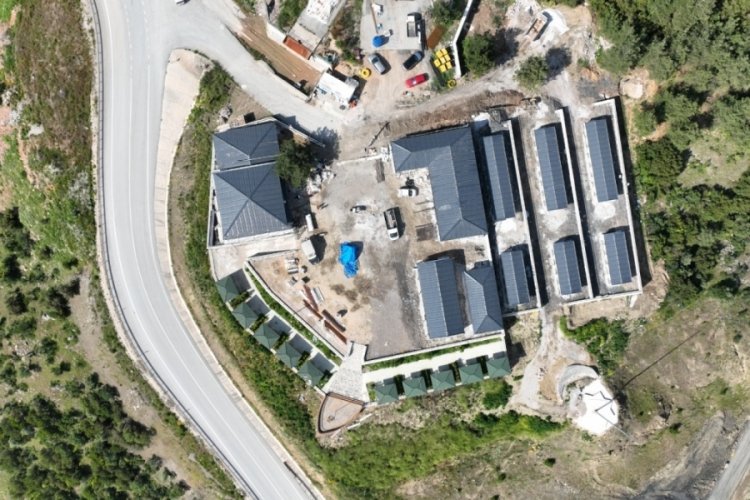 Bursa'da hayvan dostu proje a&ccedil;ılışı i&ccedil;in g&uuml;n sayılıyor