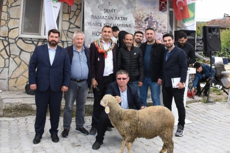 Bursa'da kuzu rekor fiyata satıldı