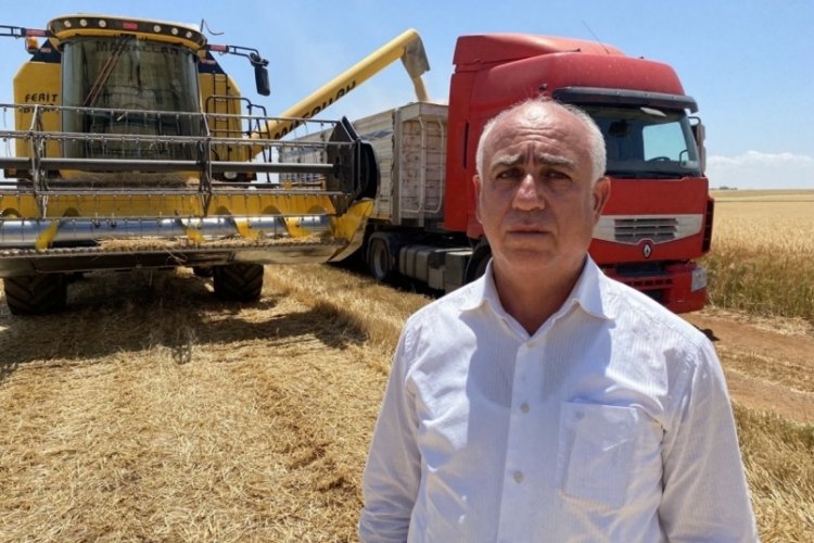 Adıyaman'da hububat hasadı başladı