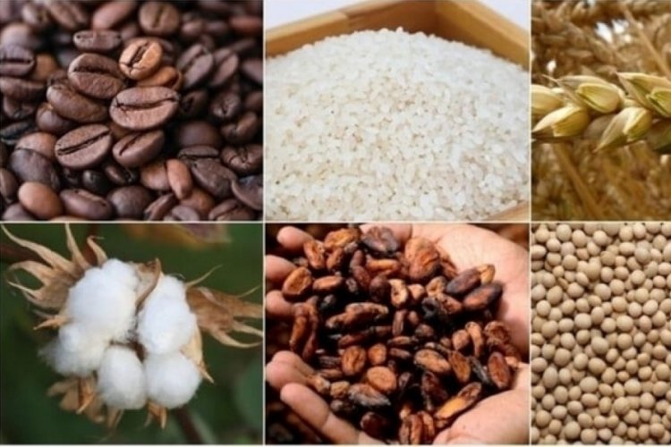 Emtia piyasasında ge&ccedil;en ay satış baskısı yaşandı