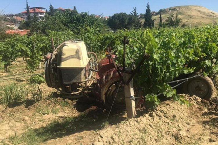 Manisa'da ağa&ccedil;taki kuşu vurmak isteyen adam komşusunu &ouml;ld&uuml;rd&uuml;