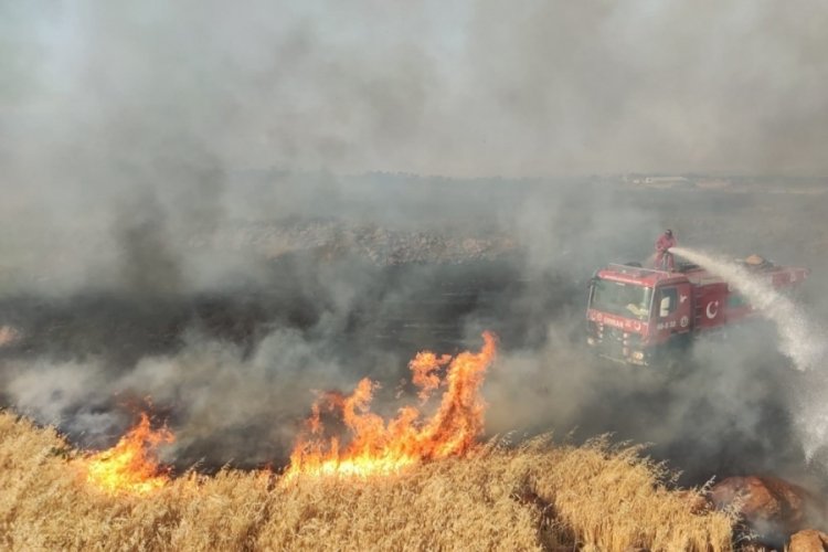 Gaziantep'te 7 bin d&ouml;n&uuml;m buğday tarlası alev alev yandı
