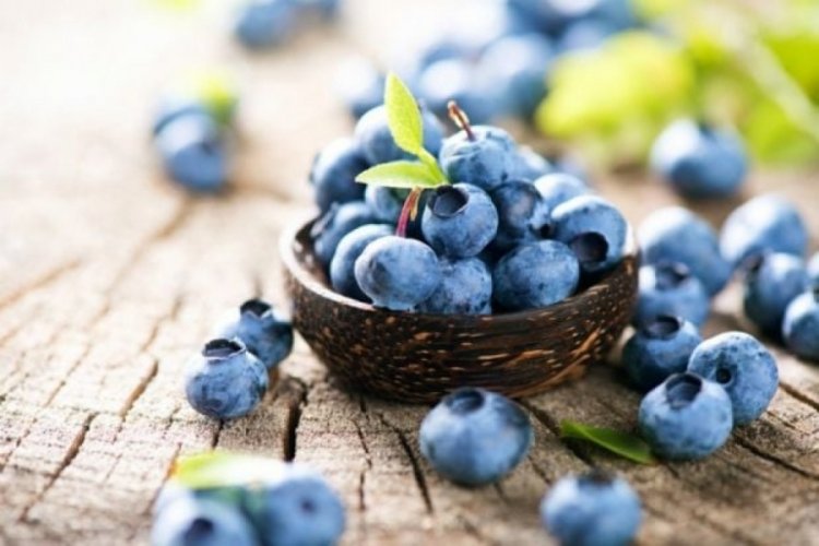 2023 Yaban mersini fidanı toprak analiz sonu&ccedil;ları a&ccedil;ıklandı!
