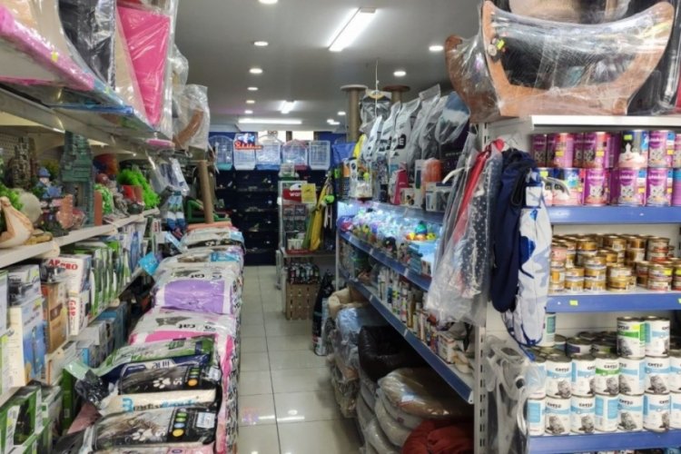 &Ccedil;aldıkları kuşları montun cebine sakladı!