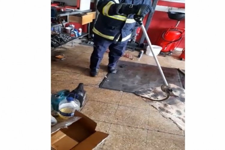 İş yerine giren yılanı itfaiye ekipleri yakaladı