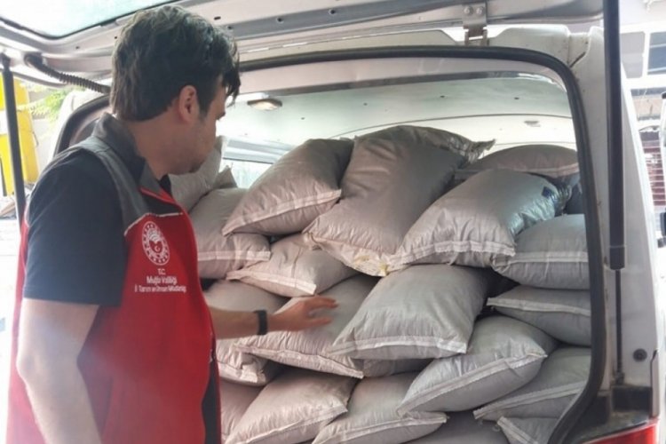 Muğla'da kargo firmasında 1460 kg ka&ccedil;ak &ccedil;ay yakalandı