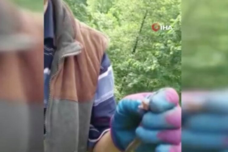 Rize'de yavru yılanı yakalayan iki kardeşin diyaloğu g&uuml;ld&uuml;rd&uuml;