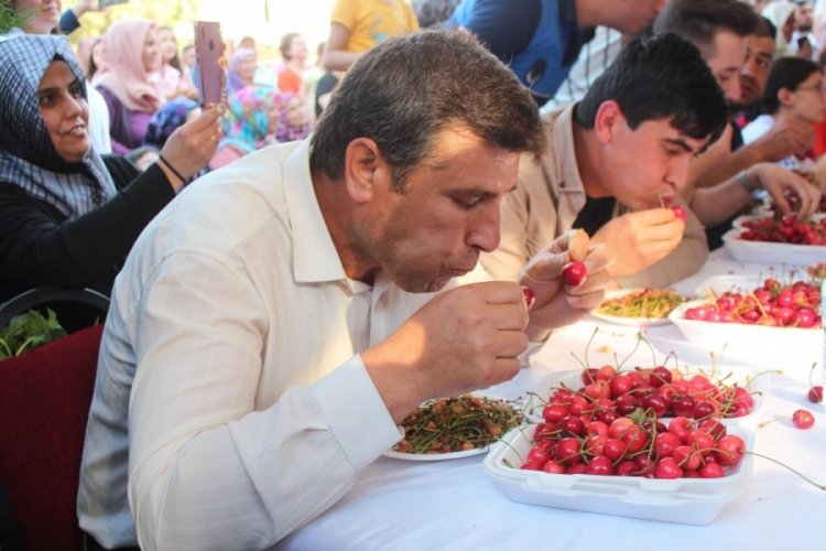 Hediye i&ccedil;in 10 dakikada 2 kilo 117 gram kiraz yedi