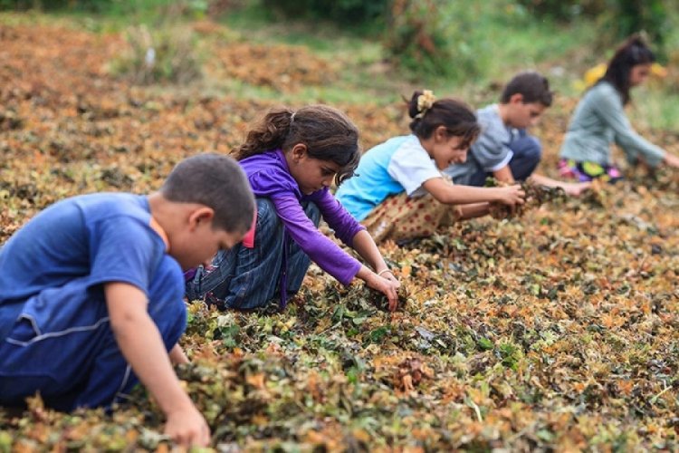 D&uuml;nya &Ccedil;ocuk İş&ccedil;iliğiyle M&uuml;cadele G&uuml;n&uuml; nedir?