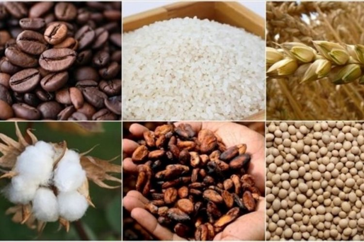 Emtia fiyatları y&uuml;kselişte
