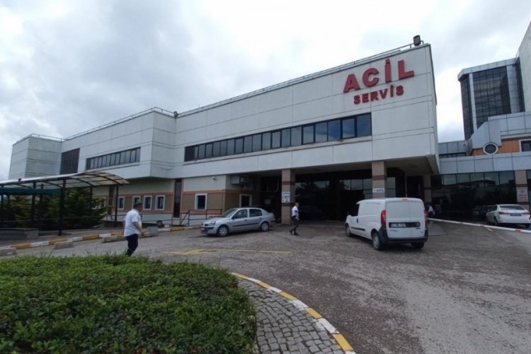 Saldırıya uğradığı k&ouml;peklerden ka&ccedil;arken y&uuml;ksekten d&uuml;ş&uuml;p yaralandı