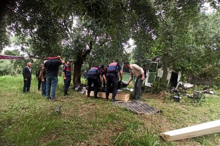 Bursa Orhangazi'de kontrolden &ccedil;ıkan ara&ccedil; zeytinliğe u&ccedil;tu:&nbsp;1 &ouml;l&uuml;