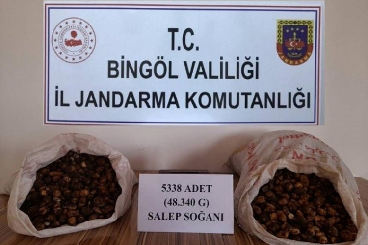 Salep soğanı toplayan kişilere 1 milyon 221 bin lira ceza