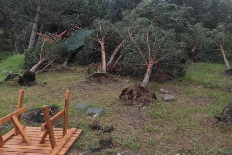 Kars'ta şiddetli r&uuml;zgar etkili oldu