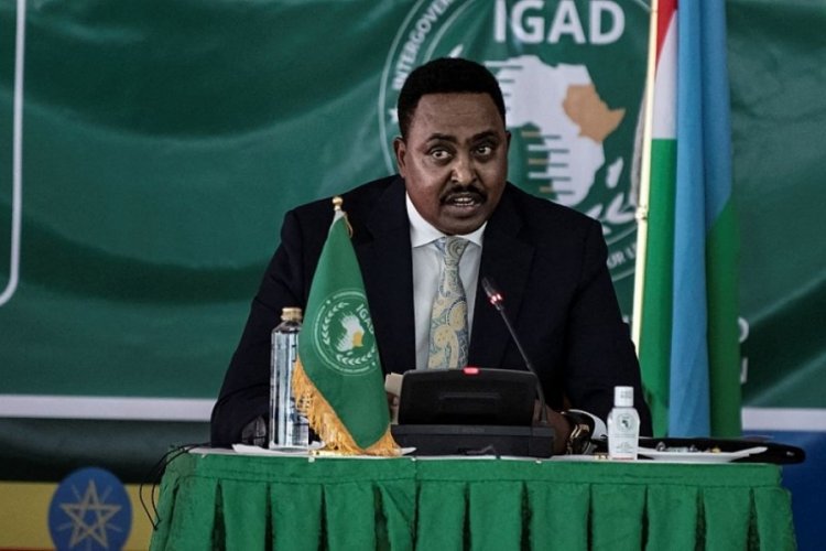Dışişleri Bakanlığı'ndan IGAD a&ccedil;ıklaması