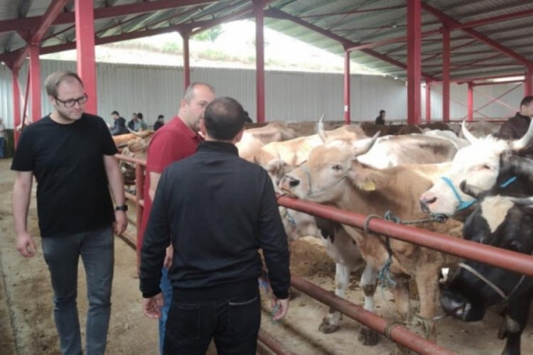 Kastamonu'da Kurban Bayramı &ouml;ncesi hayvan pazarları denetleniyor