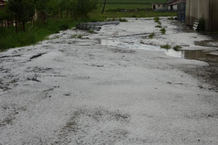 Ardahan'da dolu yağışı etkili oldu
