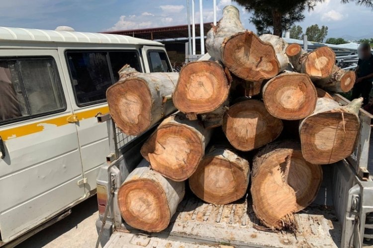 Aydın'da odun hırsızları polisten ka&ccedil;amadı