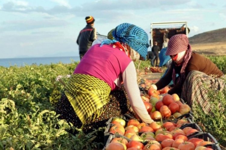 Tarım-&Uuml;FE verileri belli oldu