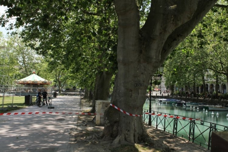 Fransa'da &ccedil;ocukları bı&ccedil;aklayan Suriyeli psikiyatri hastanesine sevk edildi
