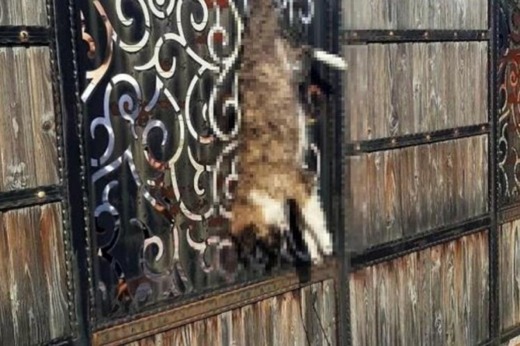 Manisa'da evin kapısında asılı bulunan k&ouml;pekle ilgili a&ccedil;ıklama