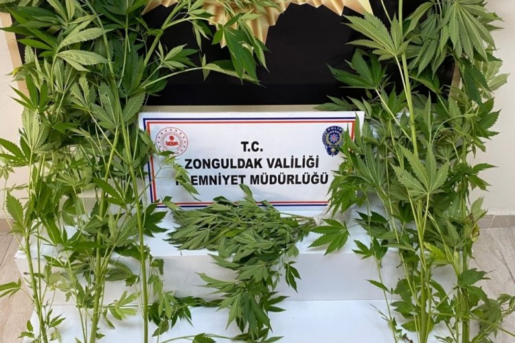 Zonguldak'ta uyuşturucu operasyonu: 3 ş&uuml;pheli yakalandı