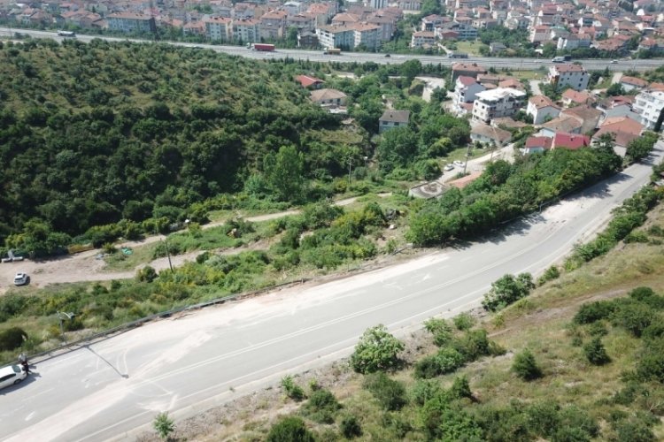 Freni tutmayan TIR, ağaca &ccedil;arptı