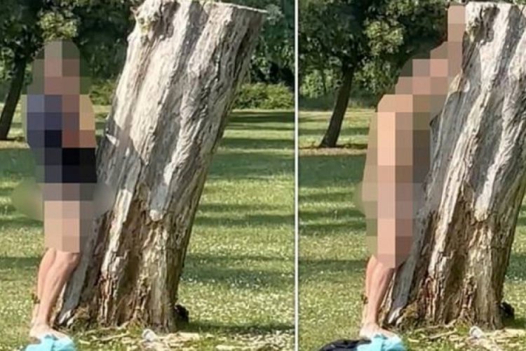 Ağa&ccedil;la seks yapmaya &ccedil;alıştı!
