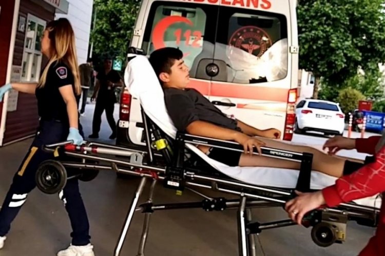 Bursa'da oyun oynayan &ccedil;ocuğu yılan soktu