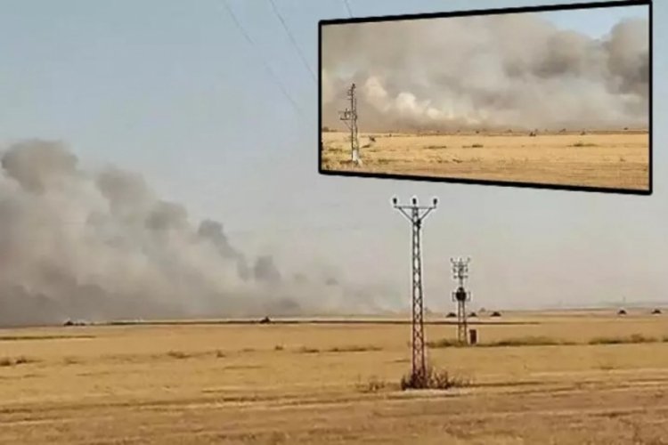 Mardin'de 300 d&ouml;n&uuml;m ekili buğday yandı