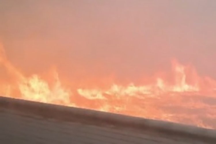 İzmir'de rekreasyon alanının yakınında ot yangını
