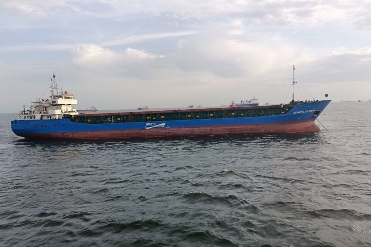 İstanbul'da &Uuml;sk&uuml;dar a&ccedil;ıklarında arızalanan konteyner gemisi kurtarıldı