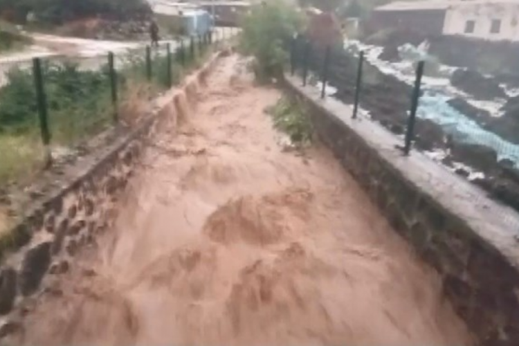 Kars'ta bazı evleri su bastı