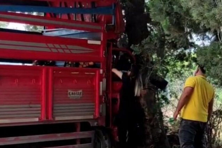 Mersin'de meyve y&uuml;kl&uuml; kamyonet ağaca &ccedil;arptı! 1 &ouml;l&uuml;, 6 yaralı