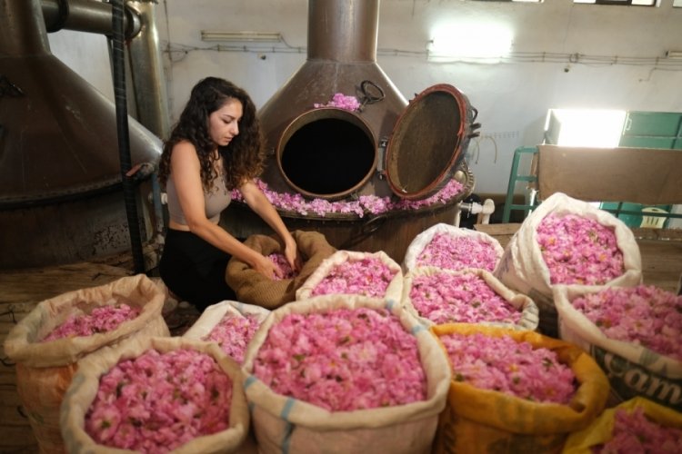 Burdur'da ata yadigarı meslek "G&uuml;l Yetiştiriciliği"