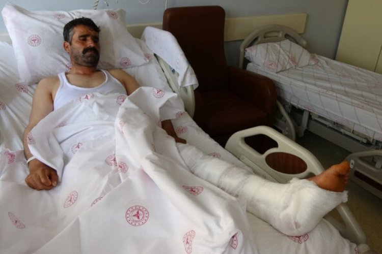 Van'da kurbanlık se&ccedil;erken hayvan zincirini kopardı! Hastanelik etti