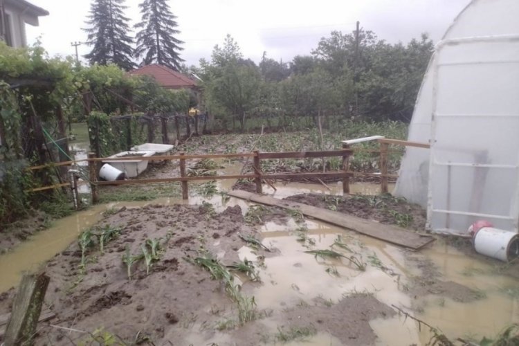 AFAD D&uuml;zce i&ccedil;in uyardı: &Ccedil;ok kuvvetli sağanak yağış bekleniyor