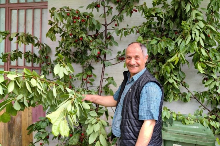 Bursa'da kiraz toplarken fırtına &ccedil;ıktı, saniyelerle kurtuldu