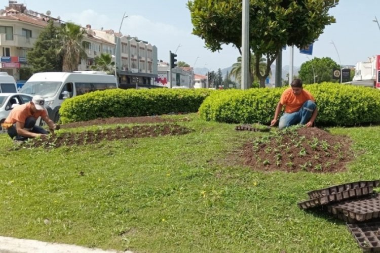 Marmaris'te yeşil alanlar bakıma girdi